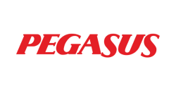 pegasus logo pegasus logo